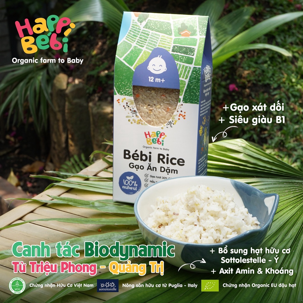Gạo hữu cơ cho bé ăn dặm mix hạt dinh dưỡng Ý cao cấp Bébi Rice Organic Shop