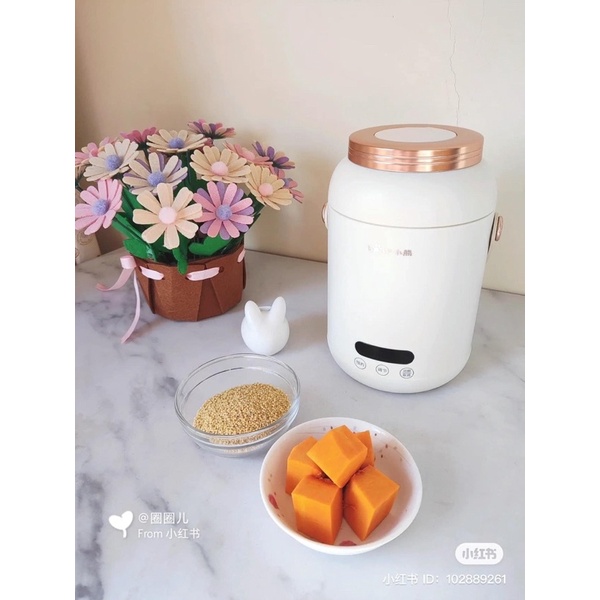 Nồi ủ cháo, hầm canh, chưng yến đa năng Bear 0,8l DRG-P08D1