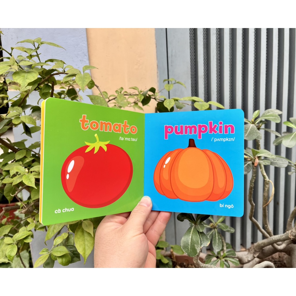 Sách - Bộ Thẻ Học Flash Card Bìa Cứng Thư Viện Hình Ảnh Đầu Tiên Cho Bé Về Thế Giới Baby's First Picture Book (8 Cuốn)