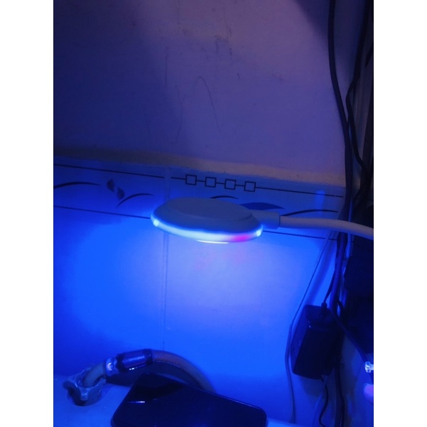 Đèn bể cá biển