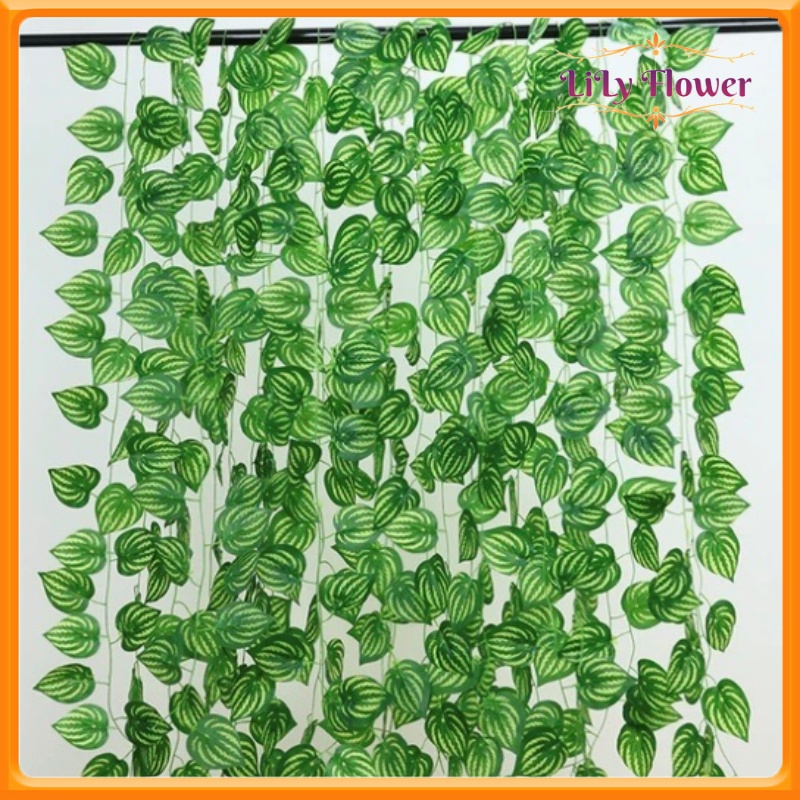 Dây Lá Trầu Bà Dài 2m Cây Giả Decor Trang Trí Hành Lang Trần Vách Tường Nhà Ban Công Quán Cafe LL-139