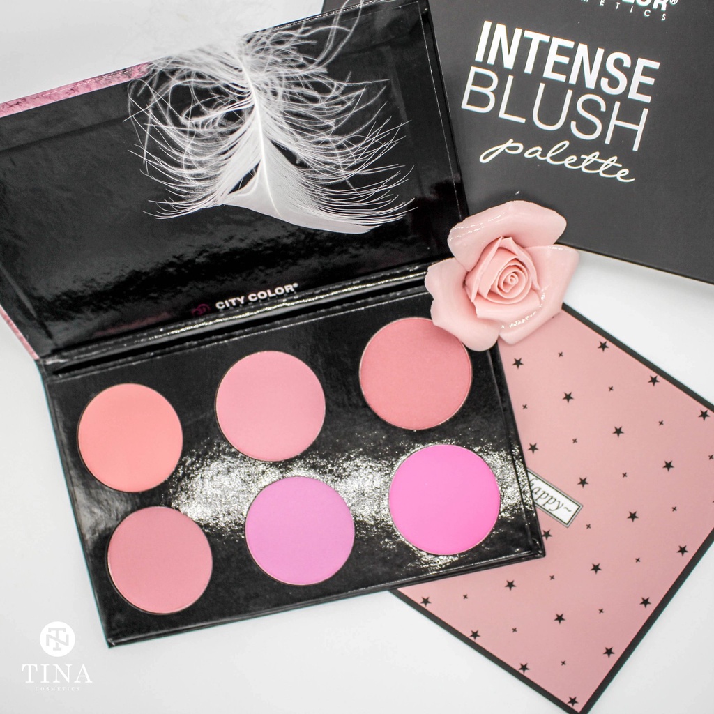 Phấn Má Hồng Citycolor Intense Blush