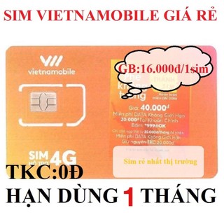 Sim số Vietnamobile sử dụng dịch vụ hạn 1 tháng