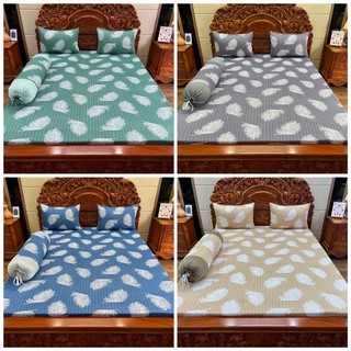 Bộ ga gối thun lạnh hàn quốc, drap thun hàn mẫu lá