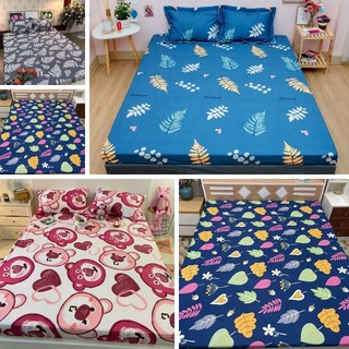Bộ ga giường cotton poly đủ kích thước bộ drap giường bọc chun