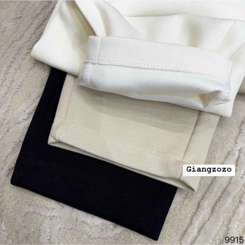 Quần baggy nỉ hai da tag túi