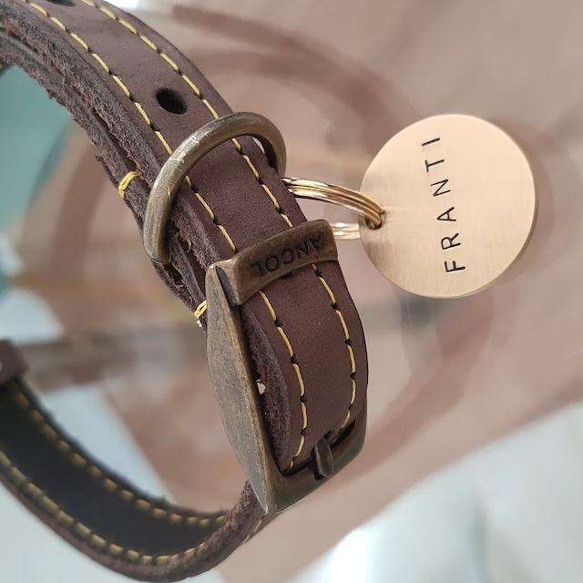 Thẻ Tên Chó Mèo, Tag Tên Thú Cưng, Đồng Nguyên Chất, Khắc Tên Theo Yêu Cầu