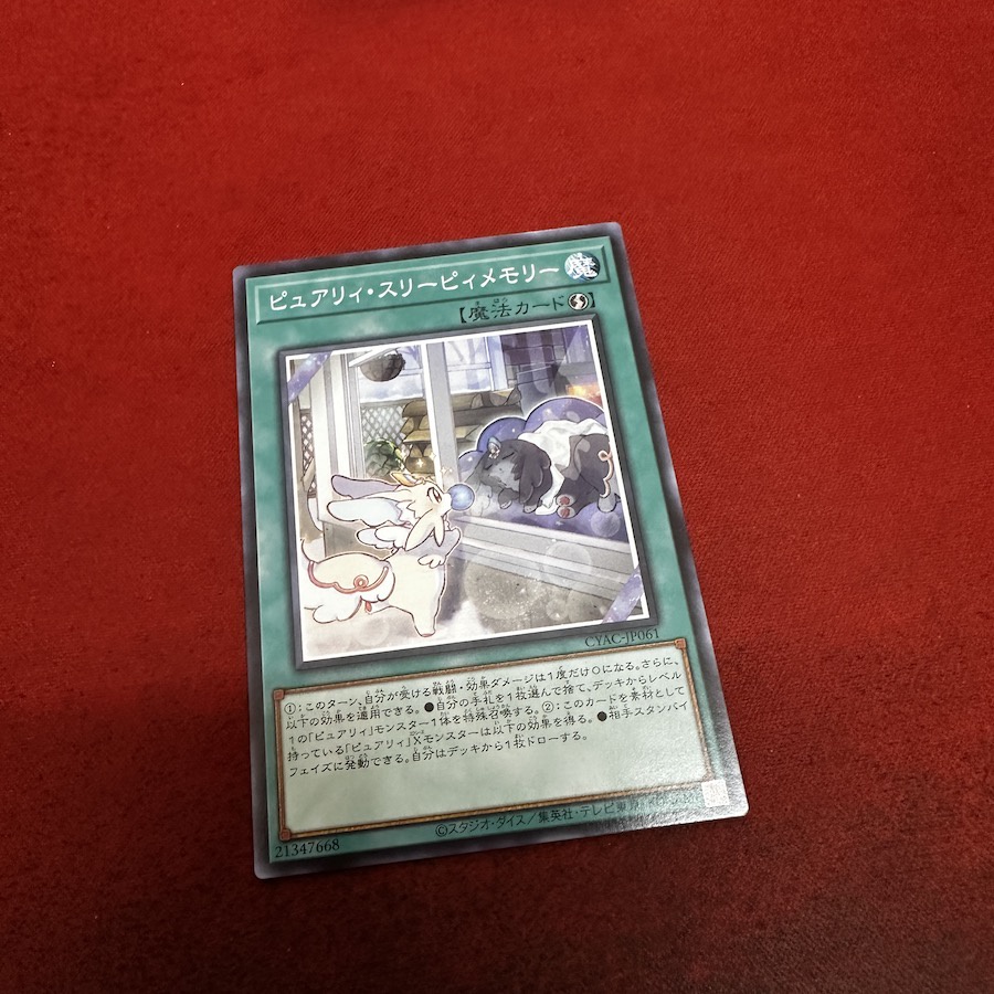 Purrely Sleepy Memory