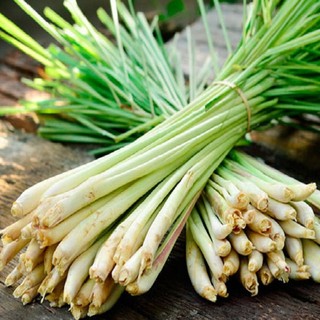 500gr củ sả tươi - dược liệu tuấn phát