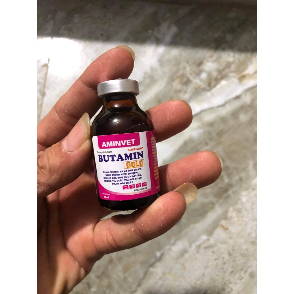 Butamin bổ máu gà đá