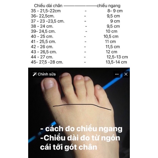 Sandanl gót nhọn 7p bigsize 35-45