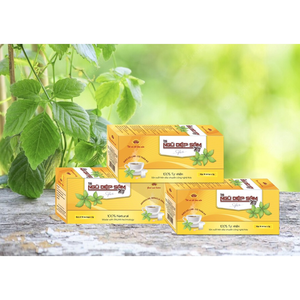 Trà NGŨ DIỆP SÂM HT MUA 10 tặng 4