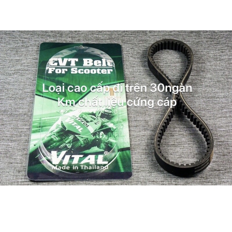 Dây Curoa Cao Cấp ATILA , ATILA VICTORIA, ELIZABETH  hiệu VITAL- Dây curoa VITAL chính hãng, hàng Thái lan chất lượng