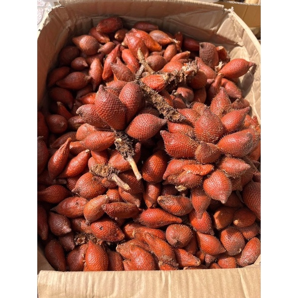 Mây thái đường 500gr