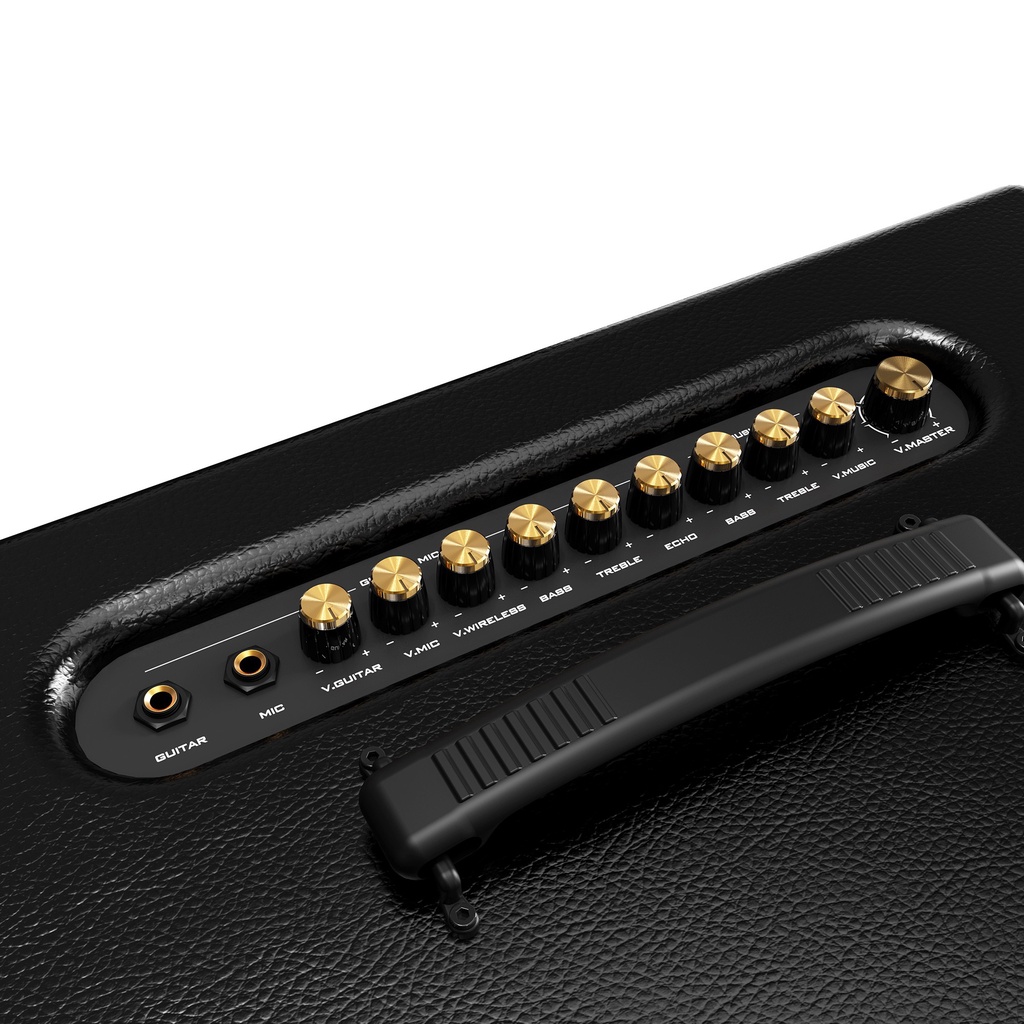 Loa mini xách tay Pasion 2 Hàng Chính Hãng 2022 - Công Ty Thiên Phúc