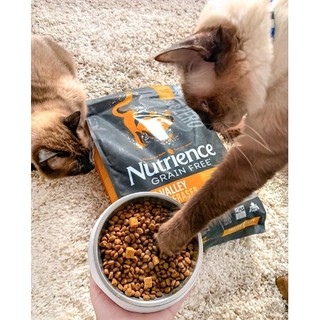 [Túi 2.27kg] [Date T1/2024] Hạt Nutrience SubZero Cho Mèo Mọi Độ Tuổi (Nhập khẩu Canada)