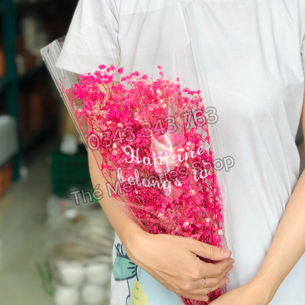 Hoa Baby Khô, Hoa Khô Trang Trí, Hoa Baby Cô Gái, Decor, Làm Quà Tặng Sinh Nhật, Đám Cưới, Quà 8/3, 20/10