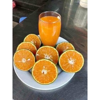 (HOẢ TỐC HÀ NỘI) CAM SÀNH VĨNH LONG