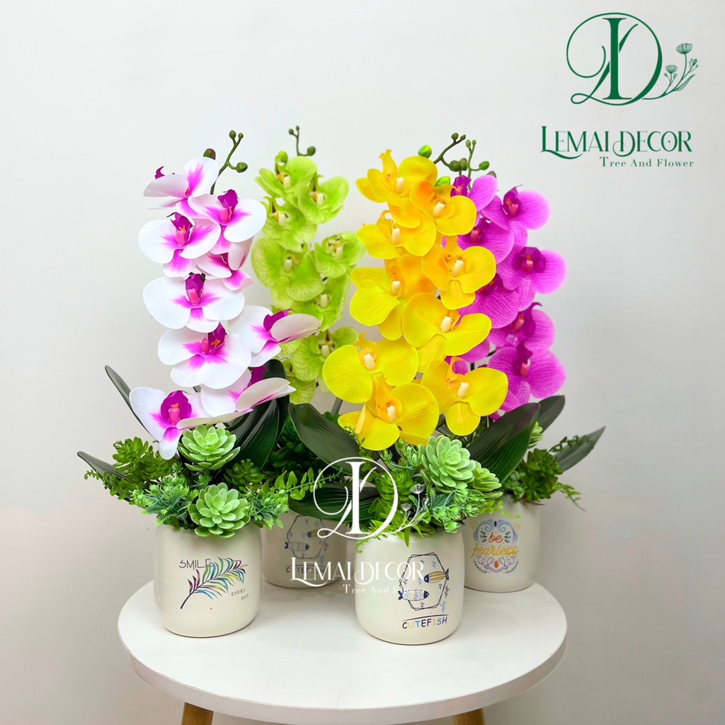 Chậu cây giả - Chậu lan hồ điệp