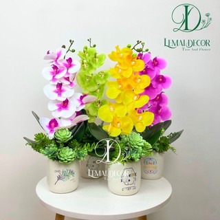 Chậu cây giả - Chậu lan hồ điệp