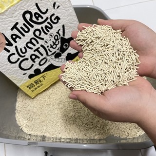 Cát vệ sinh đậu nành cature