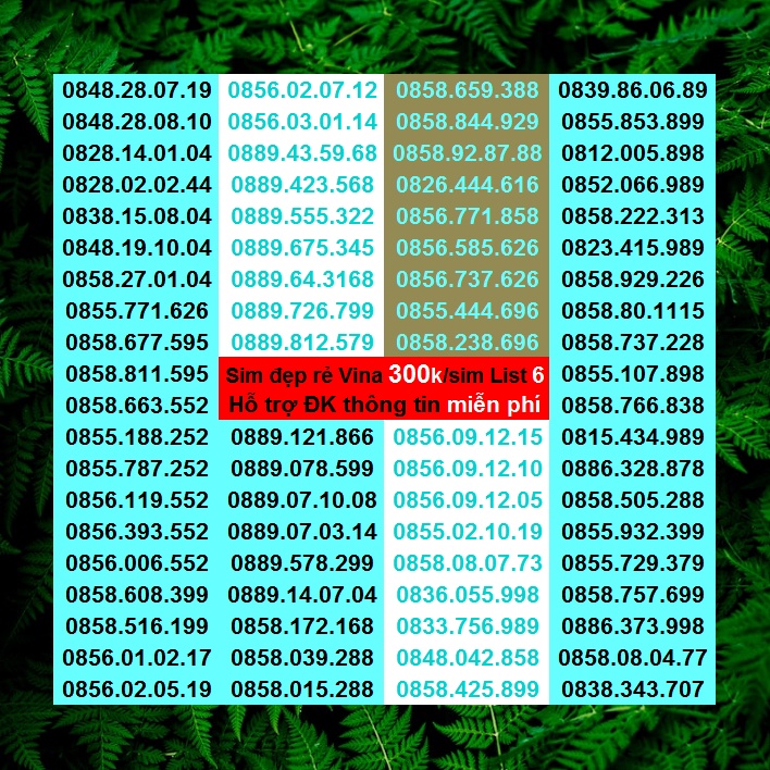 Số đẹp VINA Giá Rẻ 300k List 6 Miễn Phí Đăng ký Chính Chủ Được Hưởng Nhiều Gói Khuyến Mãi Của Vinaphone
