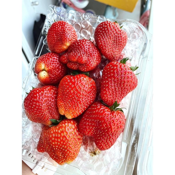 DÂU TÂY HANA MỘC CHÂU TƯƠI ĐỦ SIZE - Hàng tươi bay air mỗi ngày