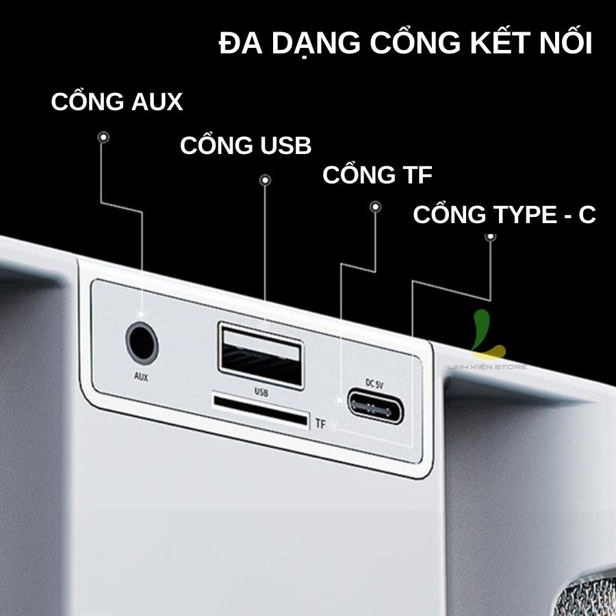 Loa Bluetooth Karaoke HOSAN YS207 (YS-207) chất liệu nhựa cao cấp kèm 2 micro không dây nhẹ hơi dễ hát