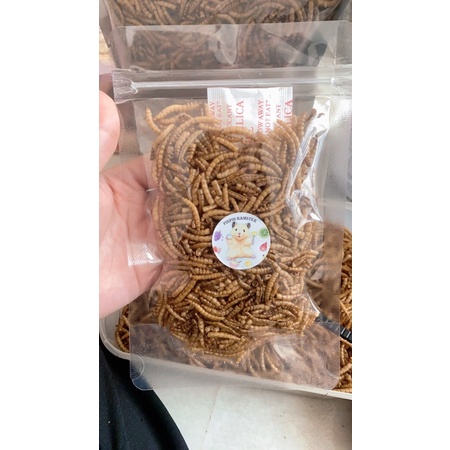 Sâu rang cỡ rung cho Hámter 30g