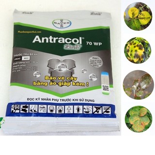 THUỐC DIỆT NẤM BỆNH CHO CÂY TRỒNG ANTRACOL 70WP GÓI 100G