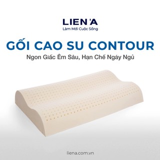 Gối cao su contour liên á 44x64x11cm