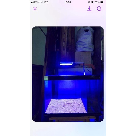Đèn bể cá có wifi