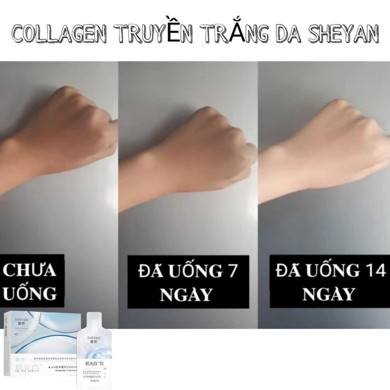 Nước uống Collagen trắng da Sheyan - 1 hộp 8 gói