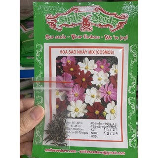 [Deal sốc 1K] Hạt Giống Hoa Cúc Sao Nhái (Sao Nháy, Hoa Cánh Bướm) Cực Dễ Trồng - 50H [Túi ZIP]