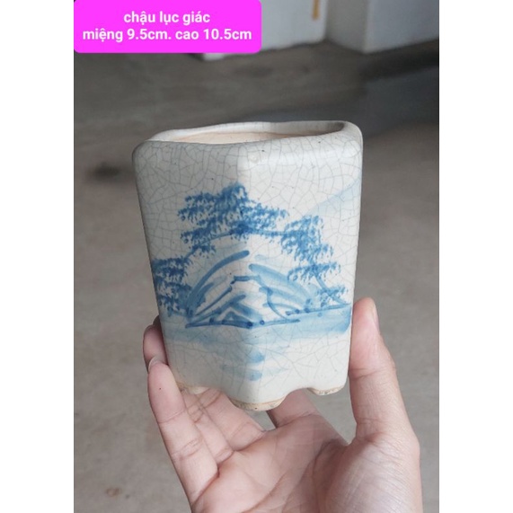 Chậu gốm lục giác hoa văn đẹp trồng cây bonsai sen đá