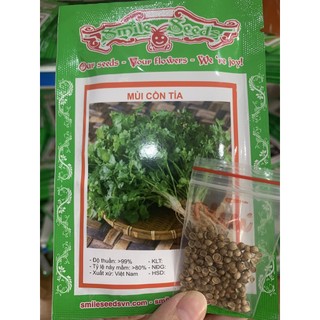 [DEAL SHOCK 1K] 100 Hạt Giống Rau Mùi Cồn Tía (Rau Thơm, Gia Vị) [FREESHIP XTRA]