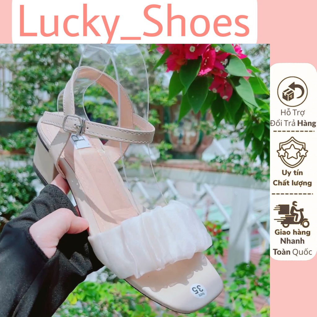 Sandan quai voan nhún bèo xinh 5cm - B8