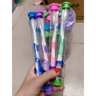 Bàn chải suree thái lan