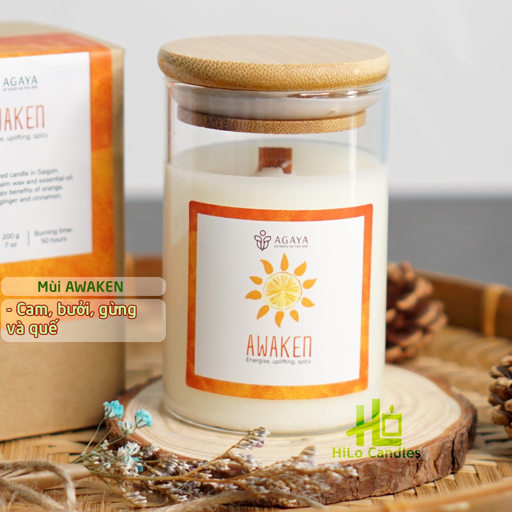 Nến Thơm Candle Cup / AGAYA Cup
