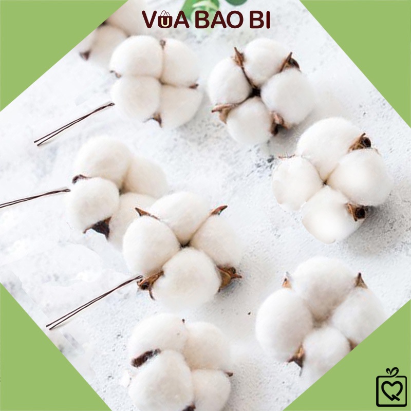 Hoa bông khô, cành quả bông gòn làm phụ kiện gói hoa, trang trí quà tặng nhà cửa đồ handmade