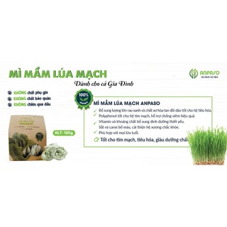 Mì mầm lúa mạch Anpaso - Xanhsam Organic