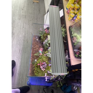 ĐÈN LED COCO WRGB UR800, R900
