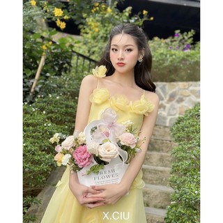 Váy Đầm Maxi 2 Dây Hoa 3D