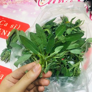 Lá tươi xô thơm sage 100g