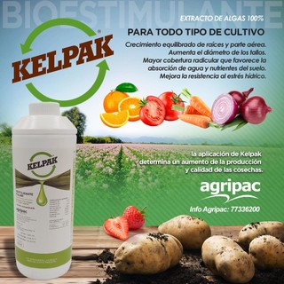 Phân bón lá KELPAK 0.5 LÍT