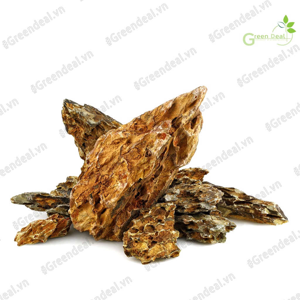 Dragon Stone  | Đá Tiger setup Layout hồ cá thủy sinh, trang trí tiểu cảnh bonsai, hồ bán cạn