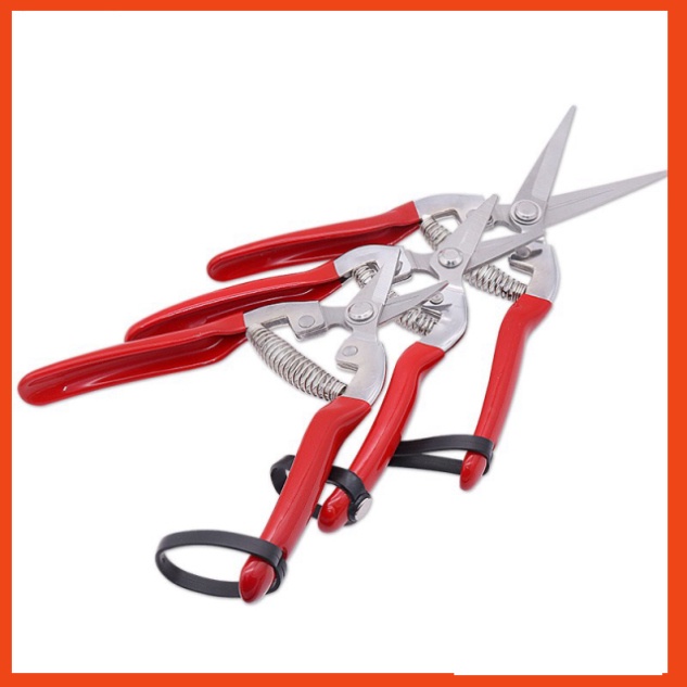 Kéo cắt cành,Kéo tỉa cành dăm thép trắng cho cây cảnh bonsai hỗ trợ cắt tỉa cành cây cảnh C53