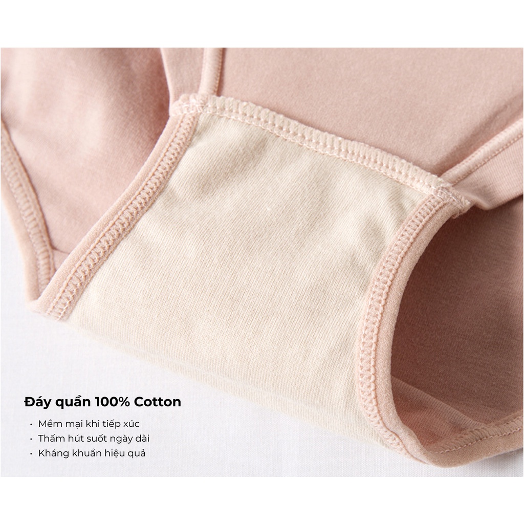 Combo 3 Quần lót nữ Cotton Bradina Japan, thấm hút, co giãn thoải mái, ôm sát QLC5