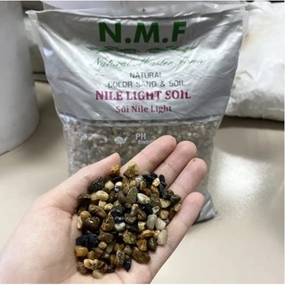 Sỏi nile light - trải nền trang trí bể cá, bể thủy sinh