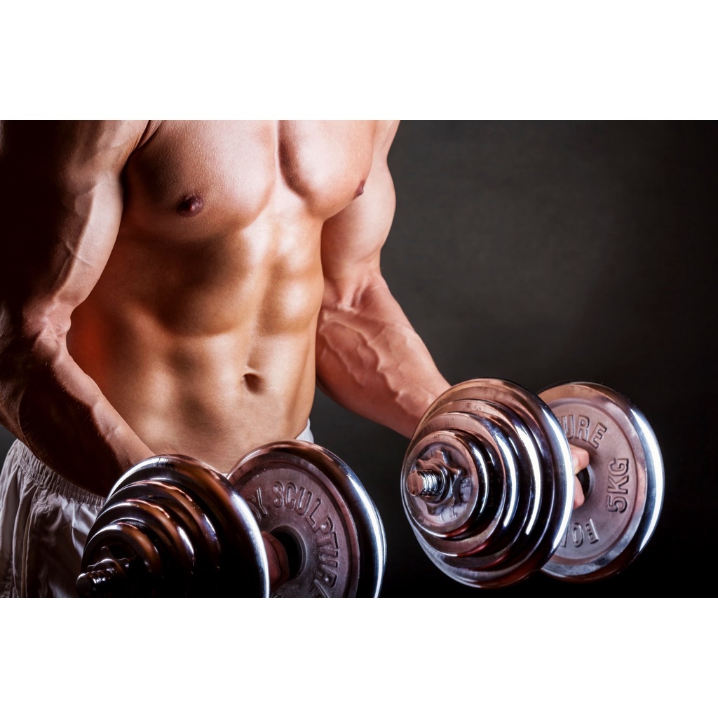 OneTwoFit tạ tập tay barbell Barbell Dumbbell  Weight 20kg +30cm Barbell bar Bộ đĩa tạ tập gym 20kg OT010